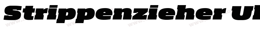 Strippenzieher Ultra字体转换